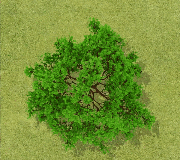 Mondo Verde Tree Injection