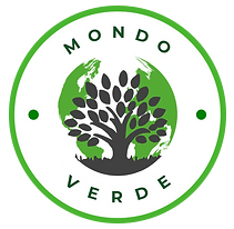 Mondo Verde Soil Injection and Drainage Services